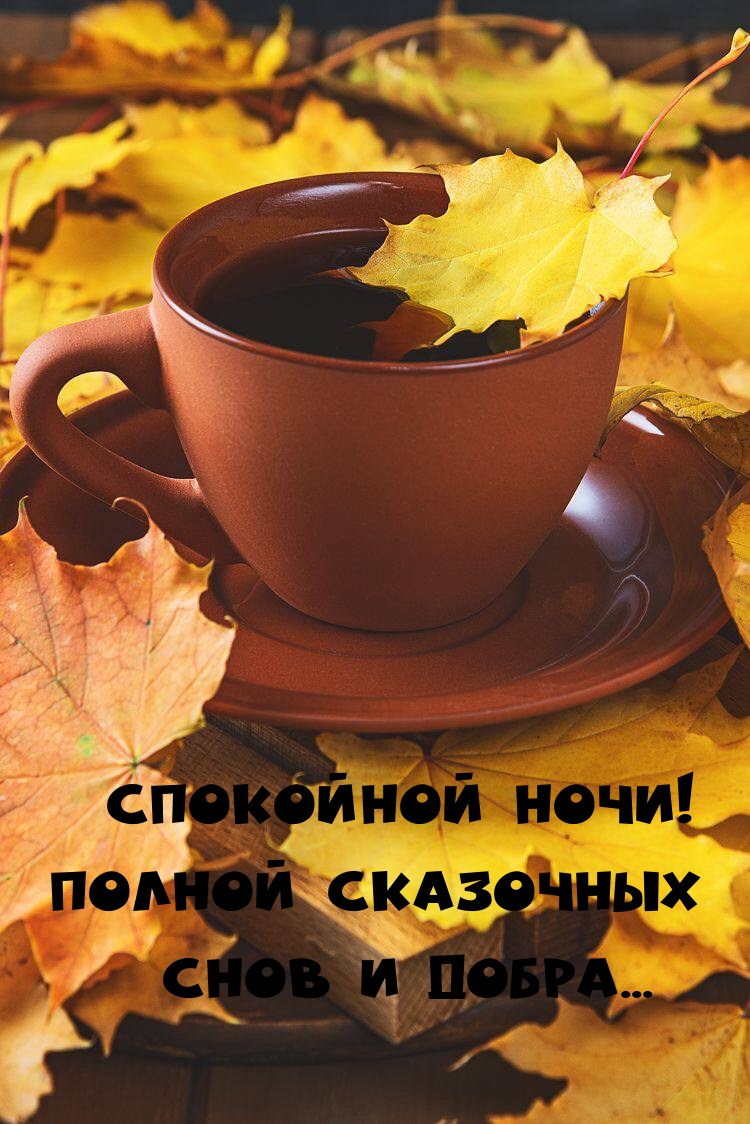 Спокойной ночи! Полной сказочных снов и добра...