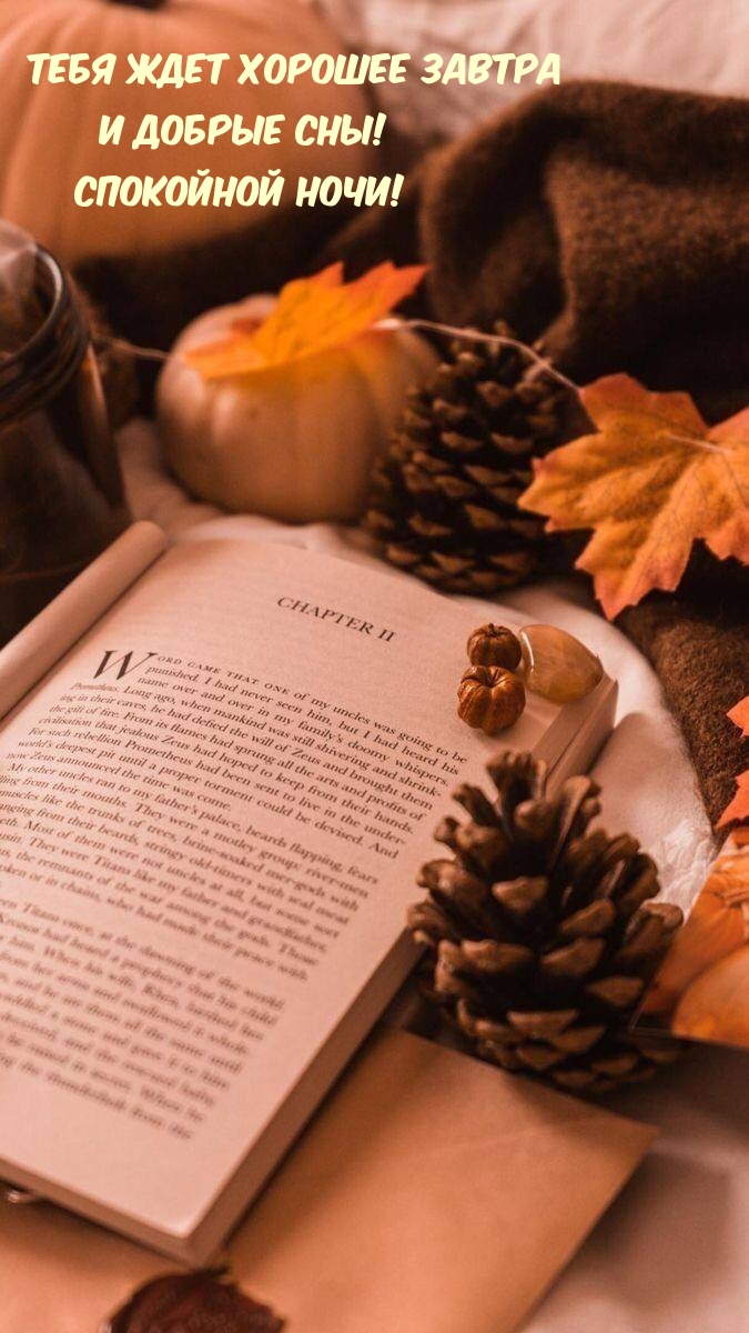 Тебя ждет хорошее завтра и добрые сны! Спокойной ночи!