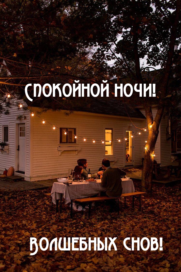 Спокойной ночи! Волшебных снов!