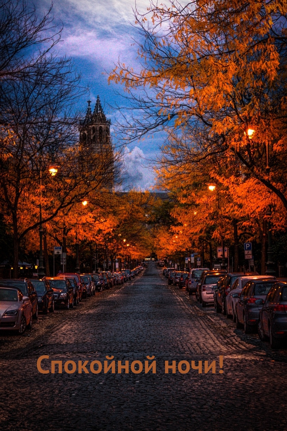 Спокойной ночи!