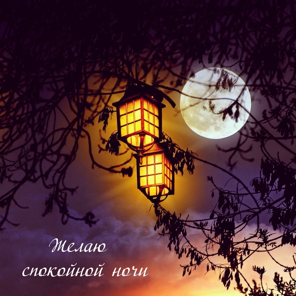 Желаю спокойной ночи