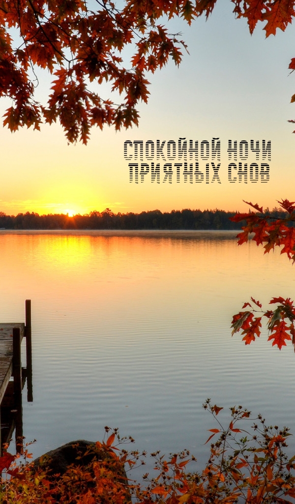 Спокойной ночи Приятных снов