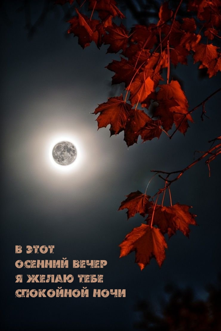 В этот осенний вечер я желаю тебе спокойной ночи
