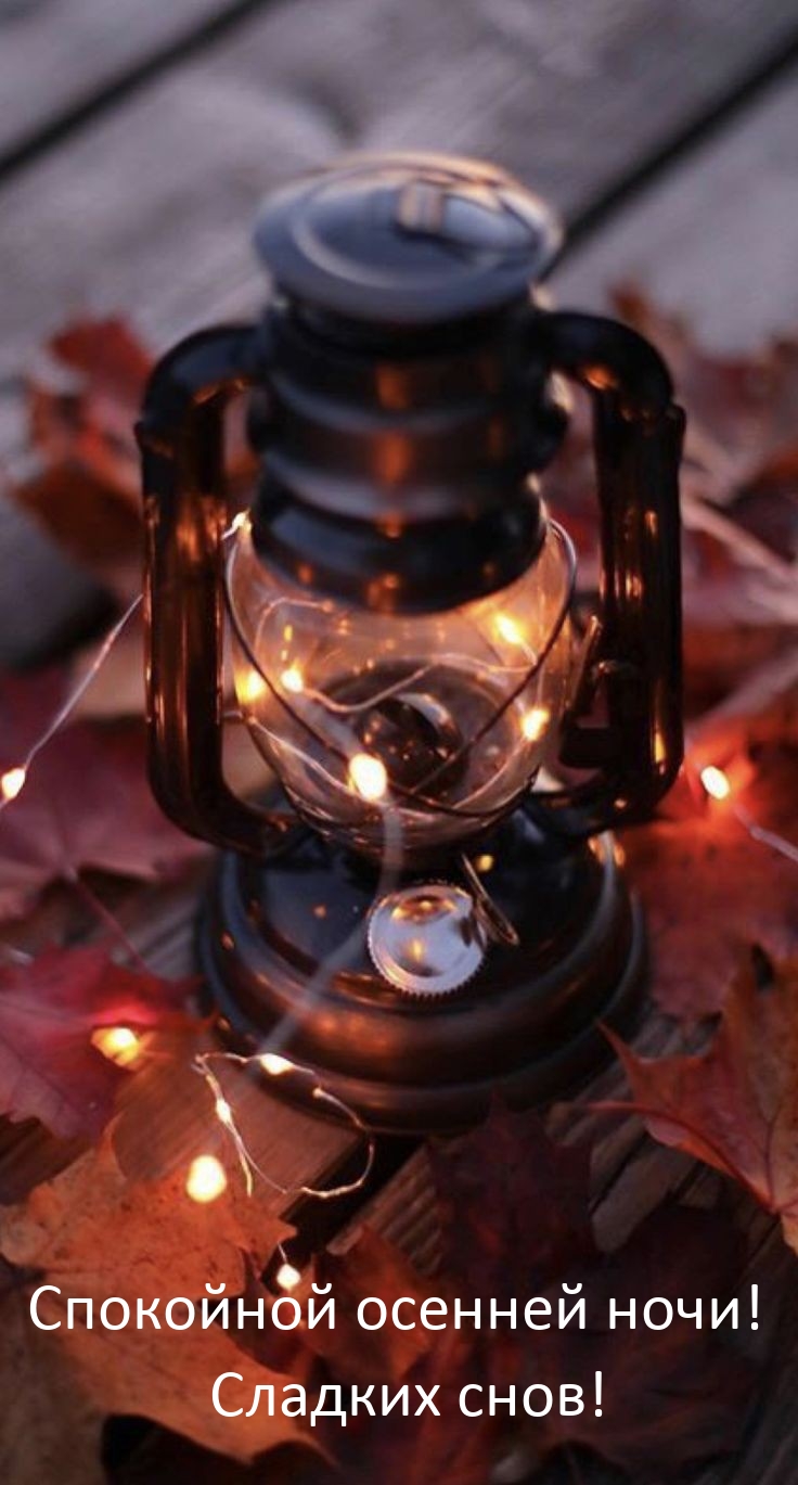 Спокойной осенней ночи! Сладких снов! 
