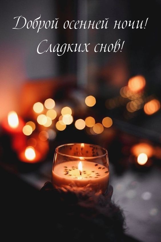 Доброй осенней ночи! Сладких снов! 