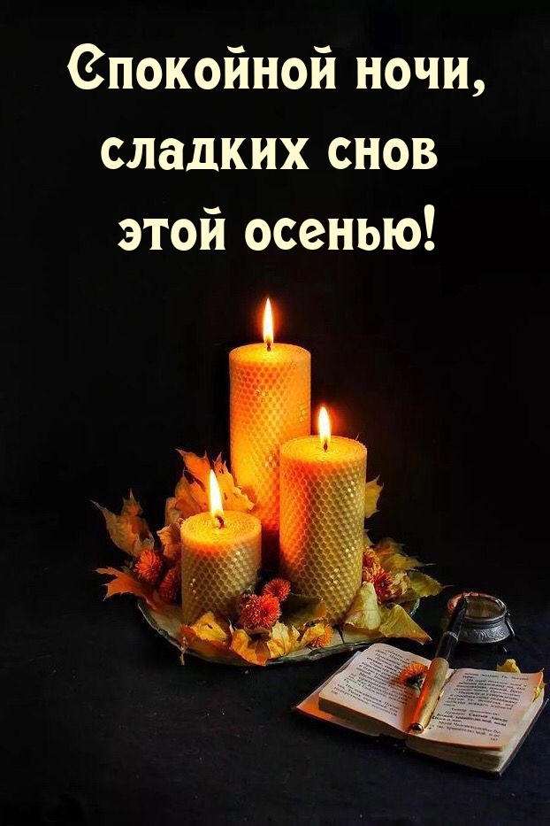 Спокойной ночи, сладких снов этой осенью! 