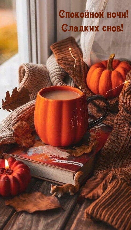 Спокойной ночи! Сладких снов!