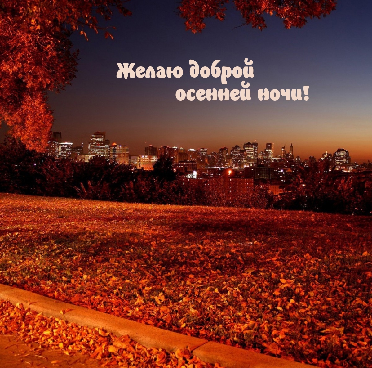 Желаю доброй осенней ночи!
