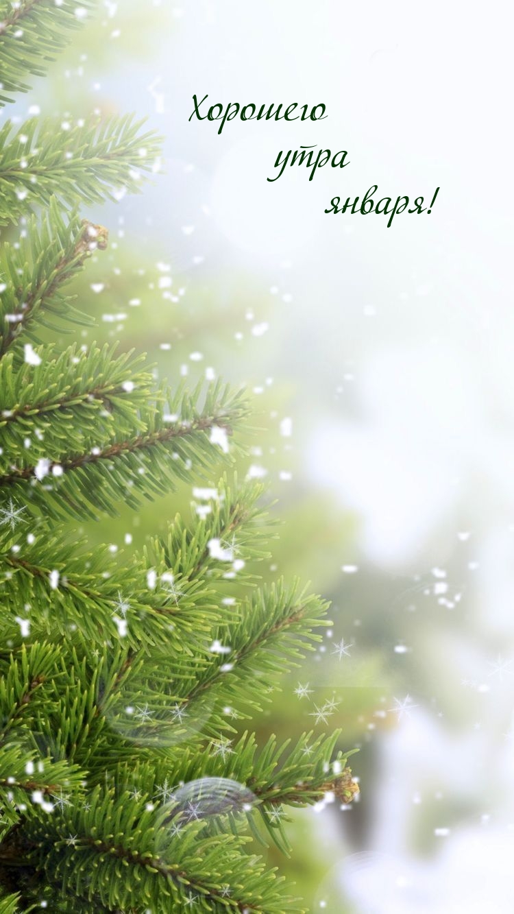 Хорошего утра января!