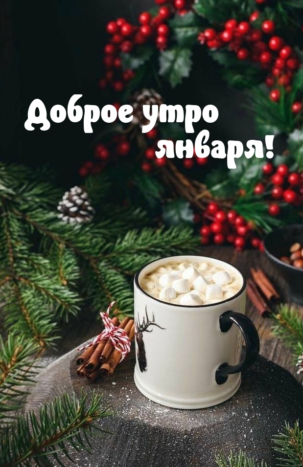Доброе утро января!