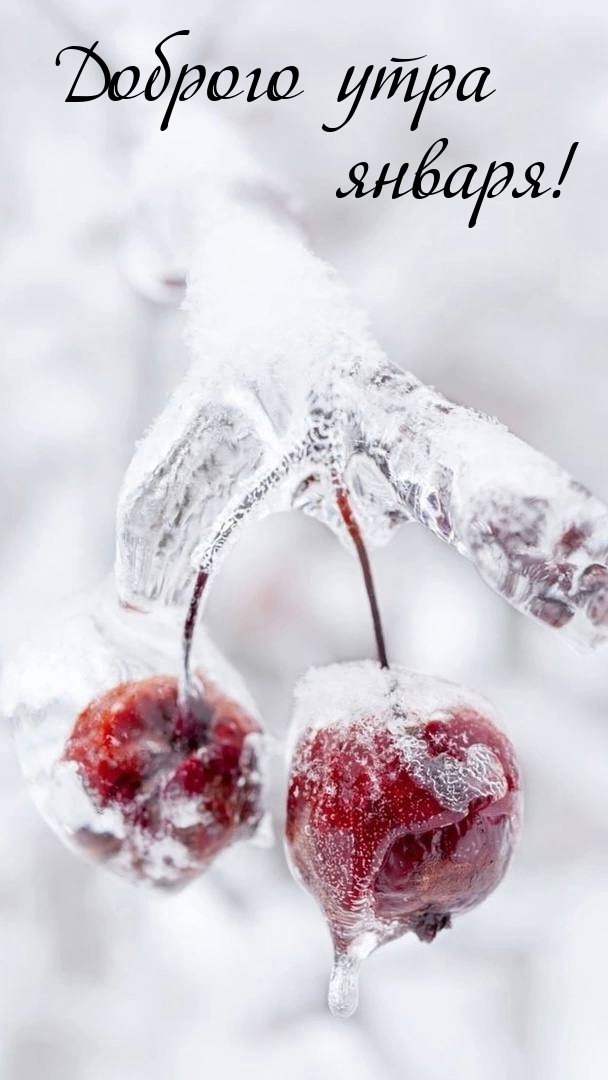 Доброго утра января!