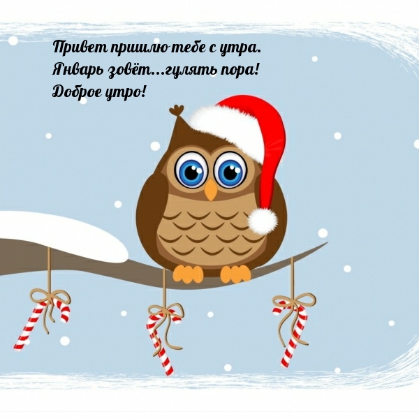 Привет пришлю тебе с утра. Январь зовёт...гулять пора!