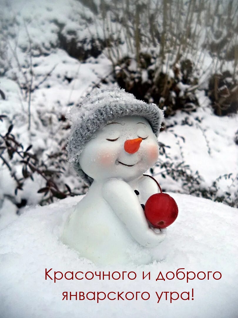 Красочного и доброго январского утра!