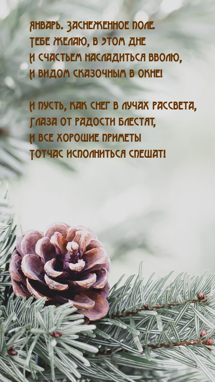 Январь. Заснеженное поле.