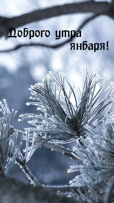 Доброго утра января!