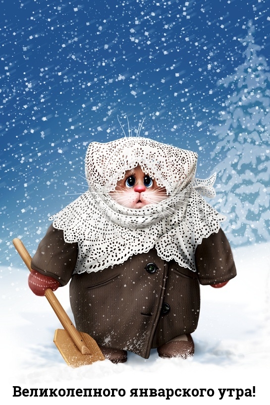 Великолепного январского утра!