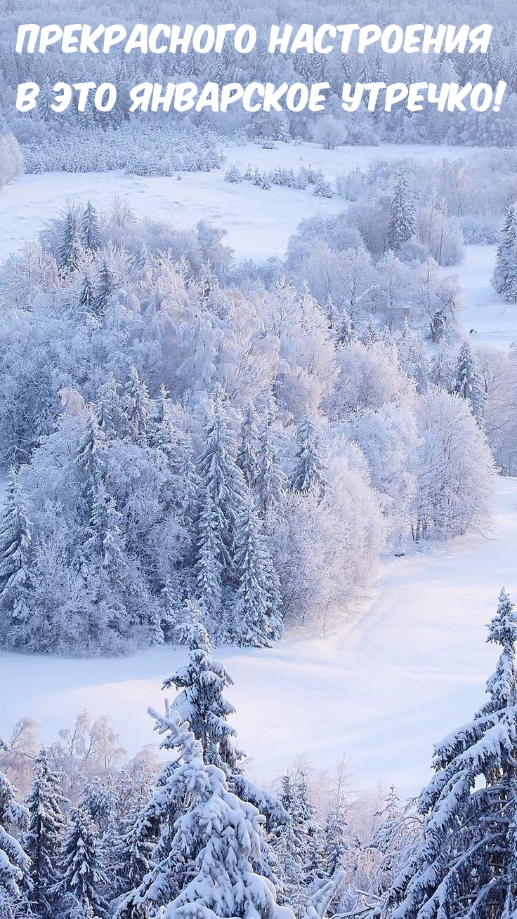 Прекрасного настроения в это январское утречко! 