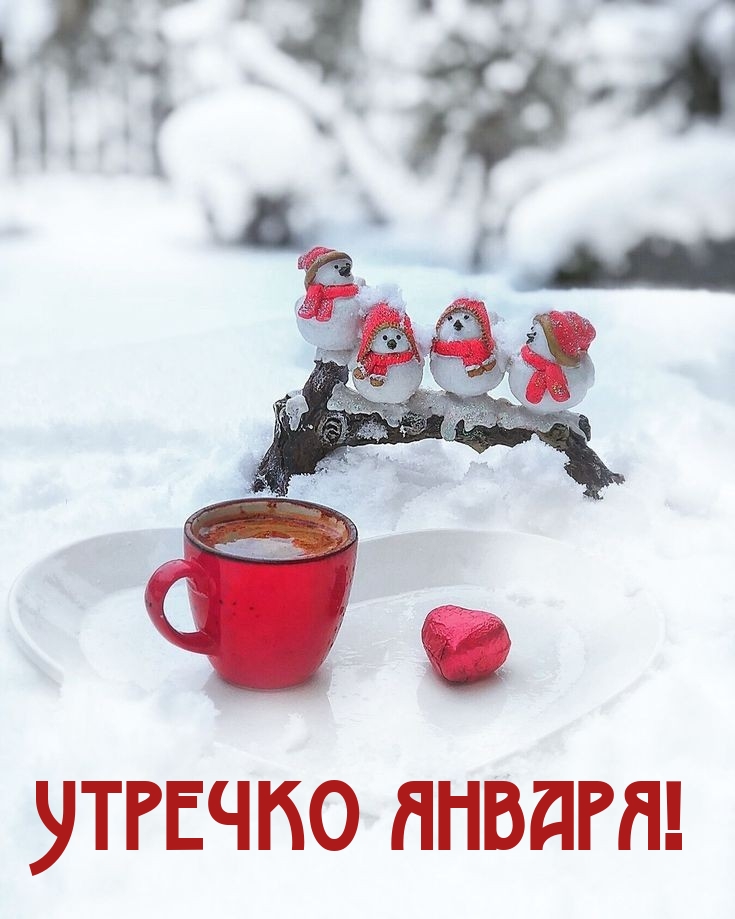 Утречко января!