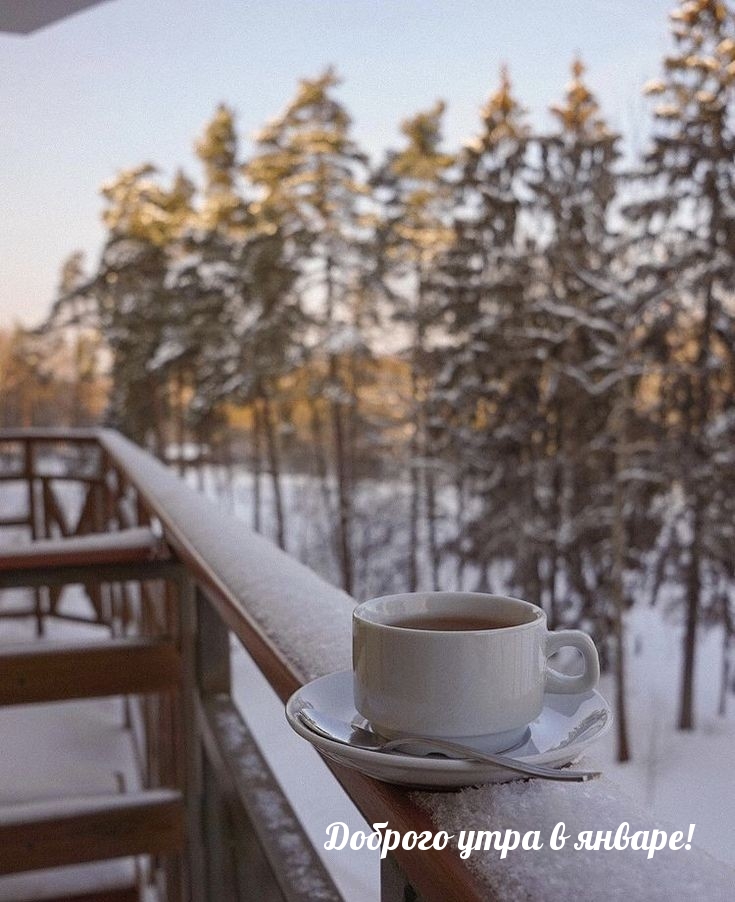 Доброго утра в январе!