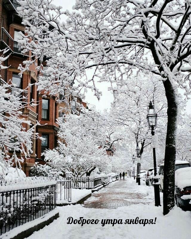 Доброго утра января!