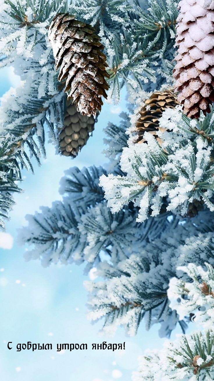 С добрым утром января!