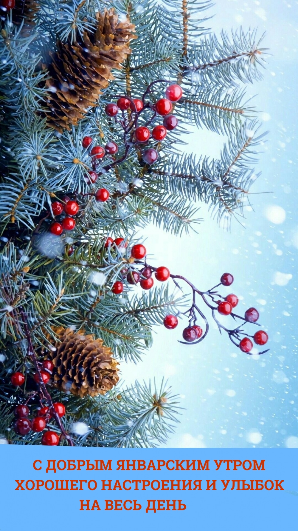 С добрым январским утром Хорошего настрония 
