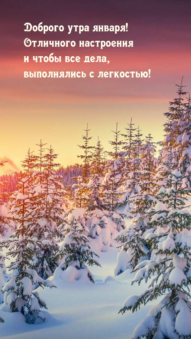 Доброго утра января! Отличного настроения