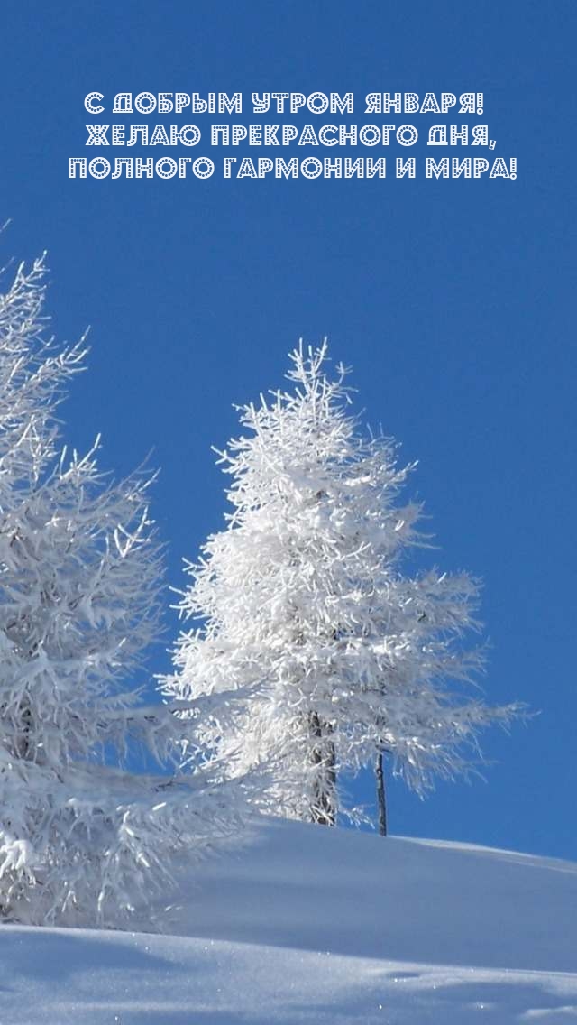 С добрым утром января! Желаю прекрасного дня