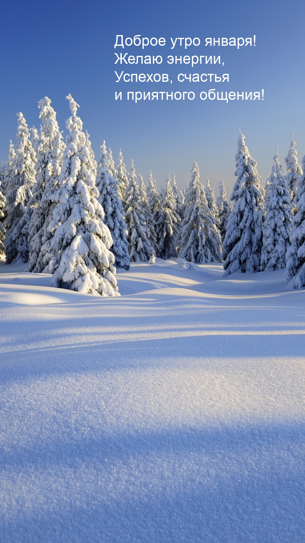 Доброе утро января! Желаю энергии, успехов, счастья
