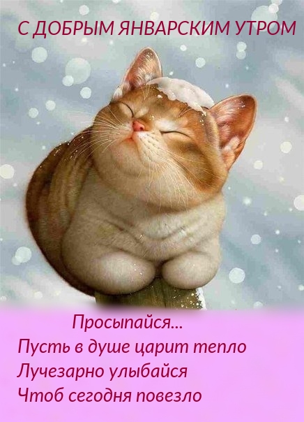 С добрым январским утром Просыпайся... 