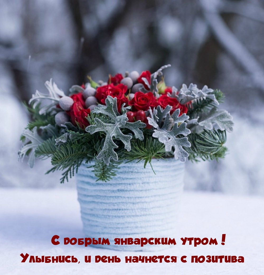 С добрым январским утром! Улыбнись, и день начнется с позитива