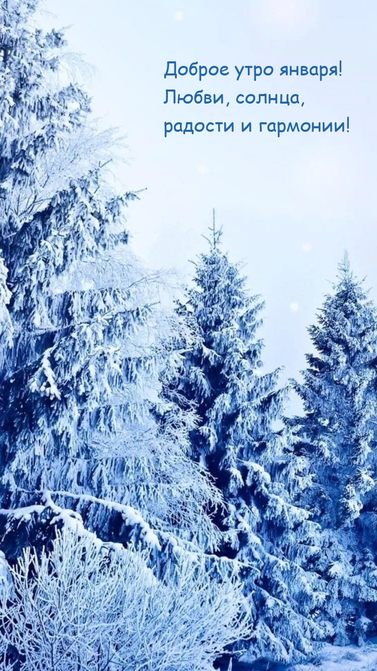 Доброе утро января! Любви, солнца, радости и гармонии!