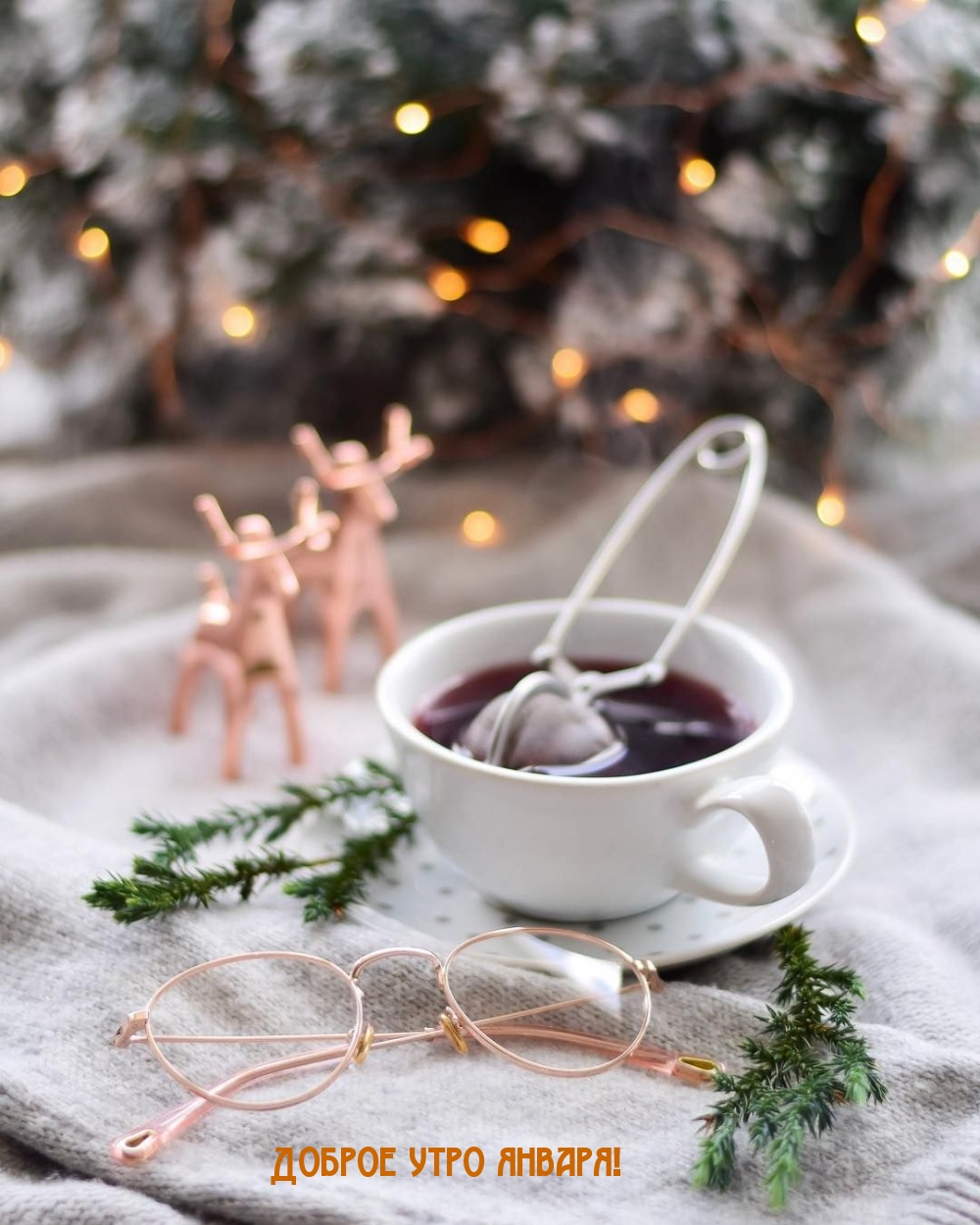 Доброе утро января!