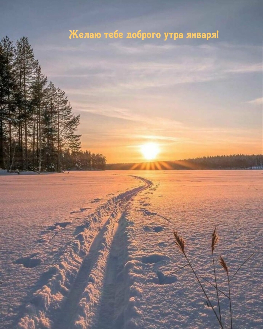 Желаю тебе доброго утра января!