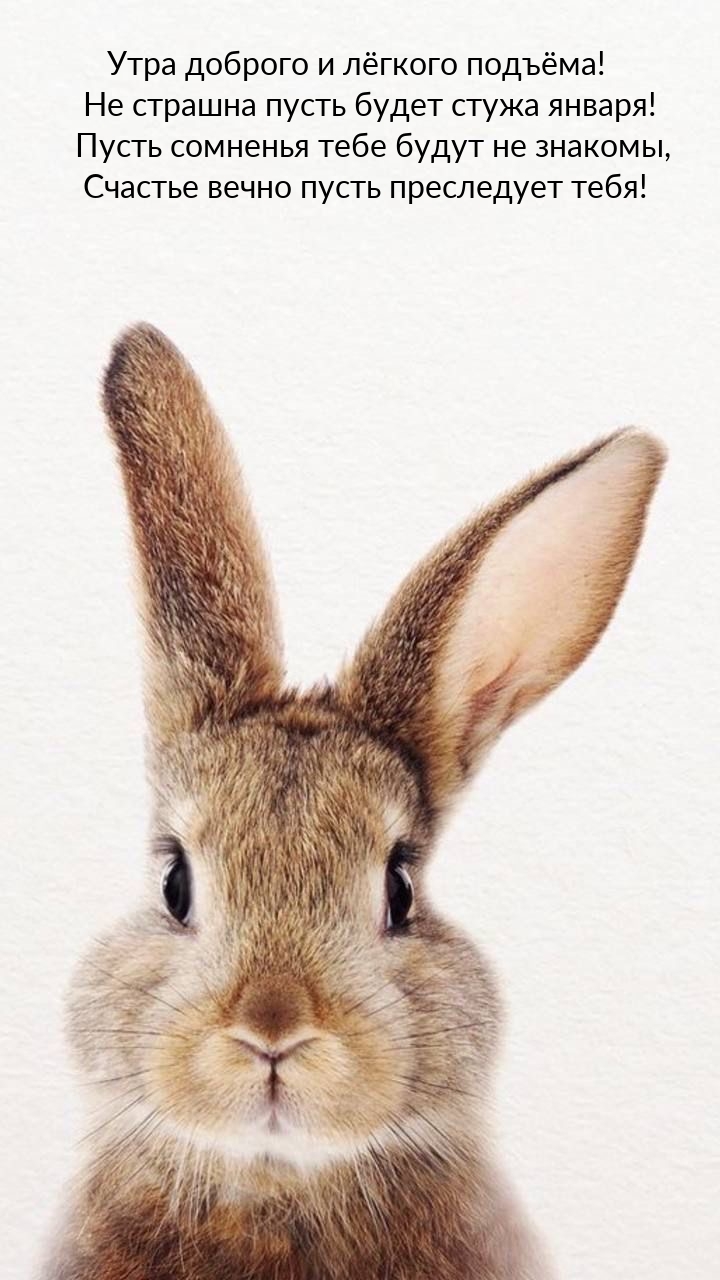 Утра доброго и лёгкого подъёма! Не страшна пусть будет стужа января!