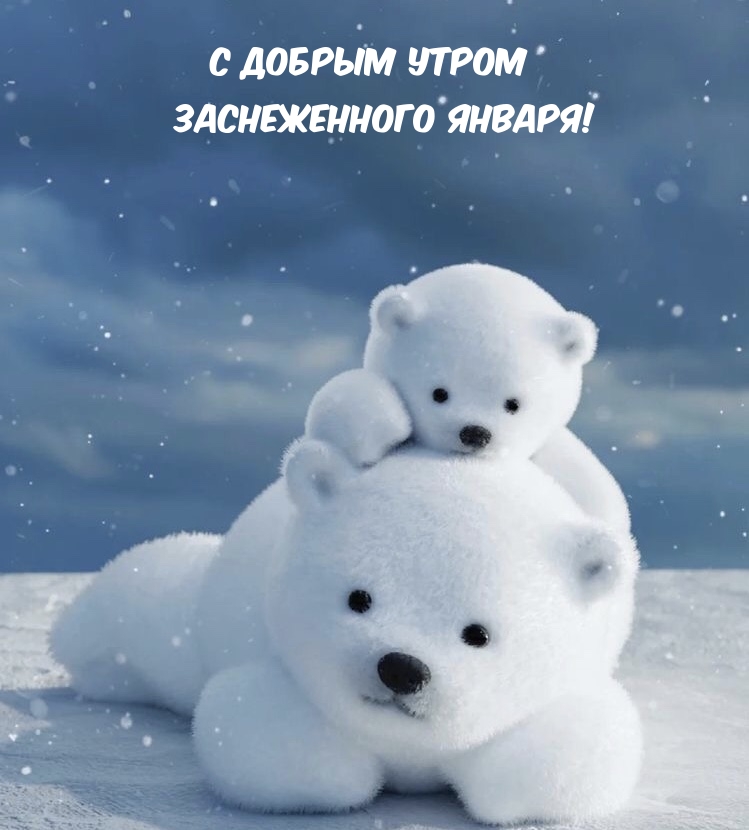 С добрым утром заснеженного января!
