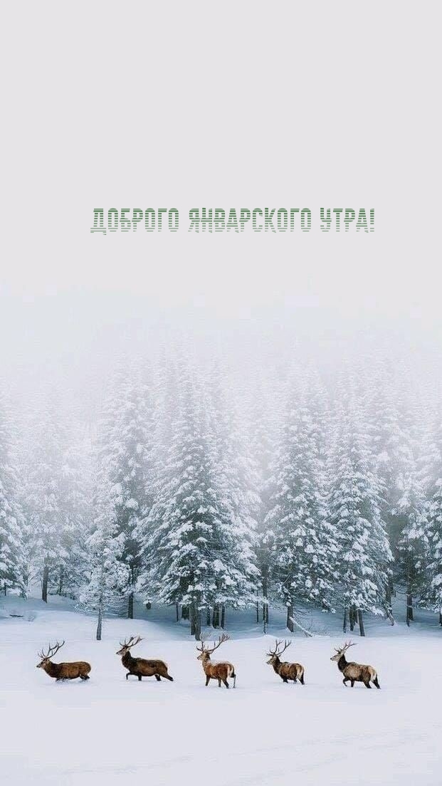 Доброго январского утра!