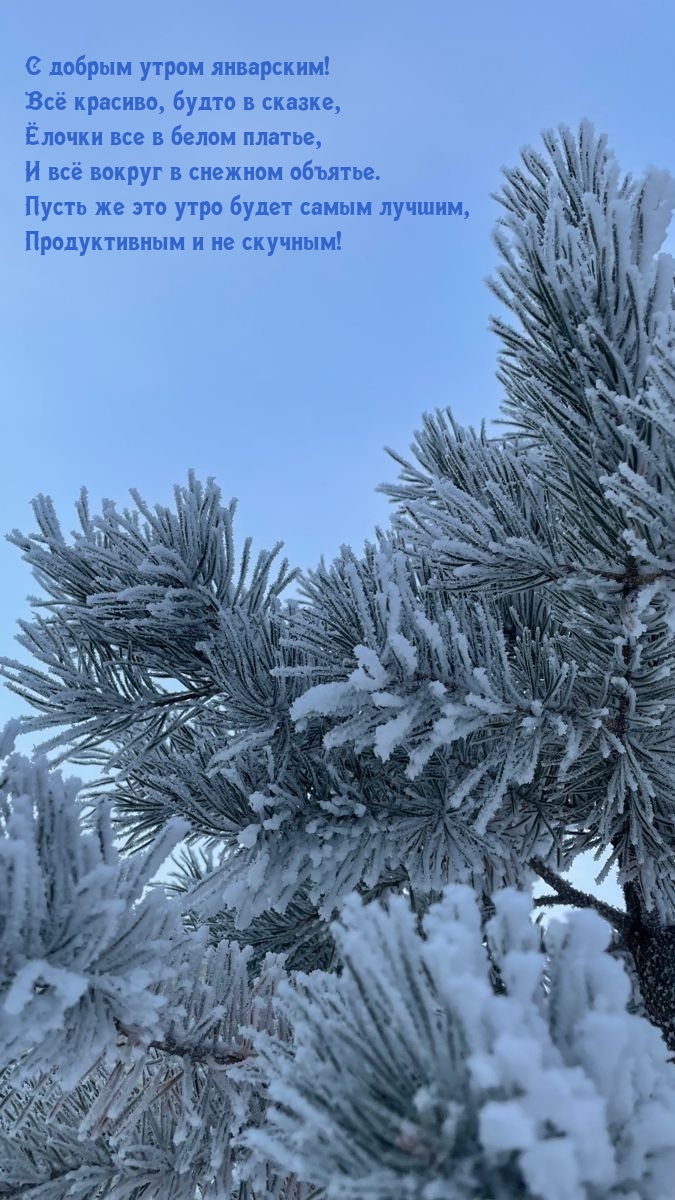 С добрым утром январским! Всё красиво, будто в сказке