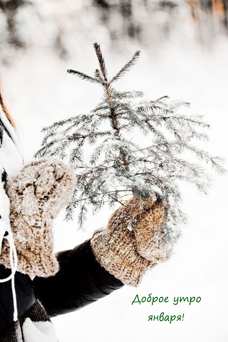 Доброе утро января!