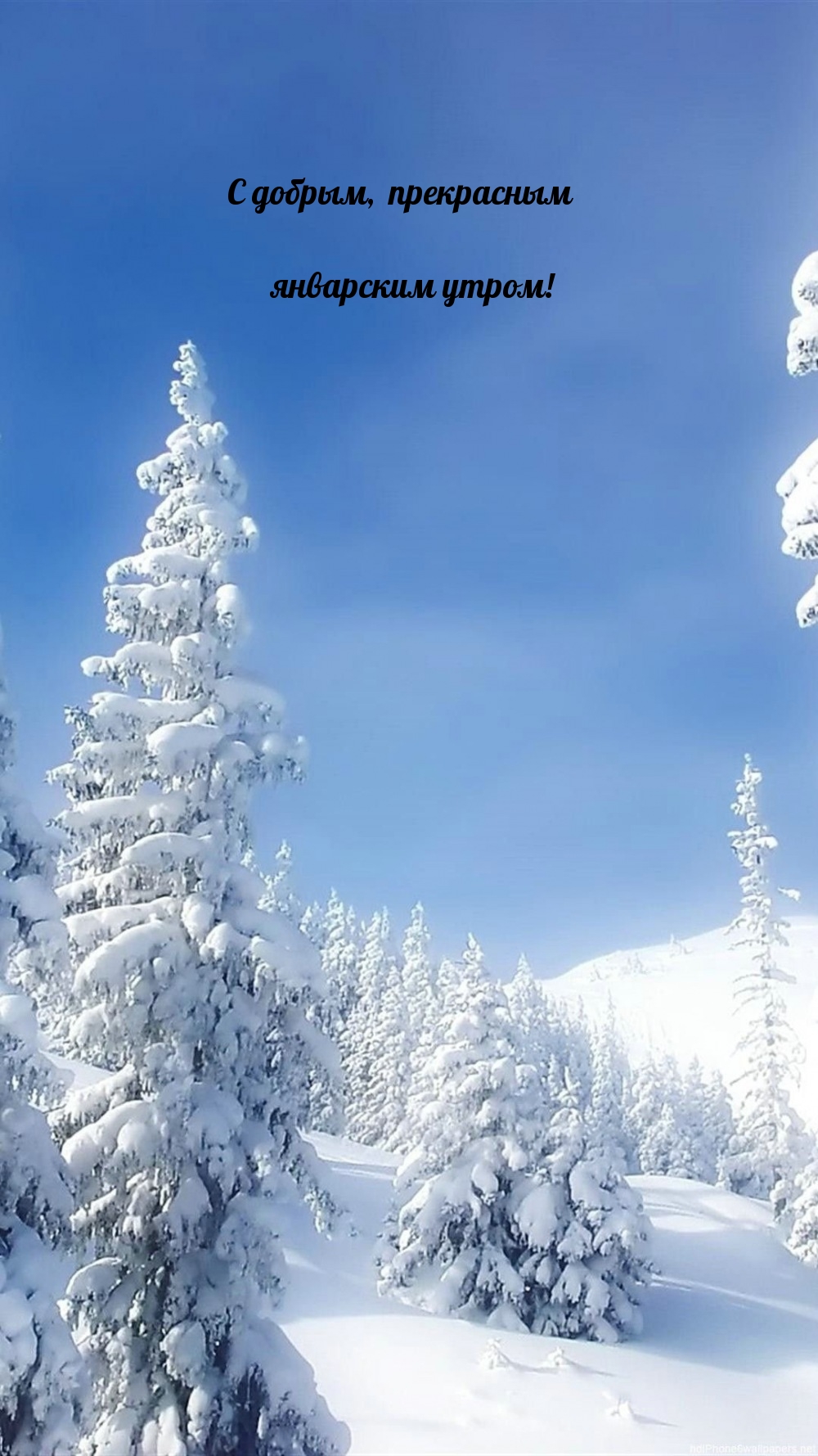 С добрым, прекрасным январским утром!