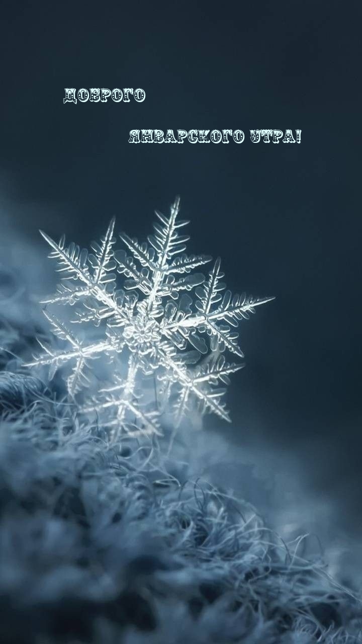 Доброго январского утра!