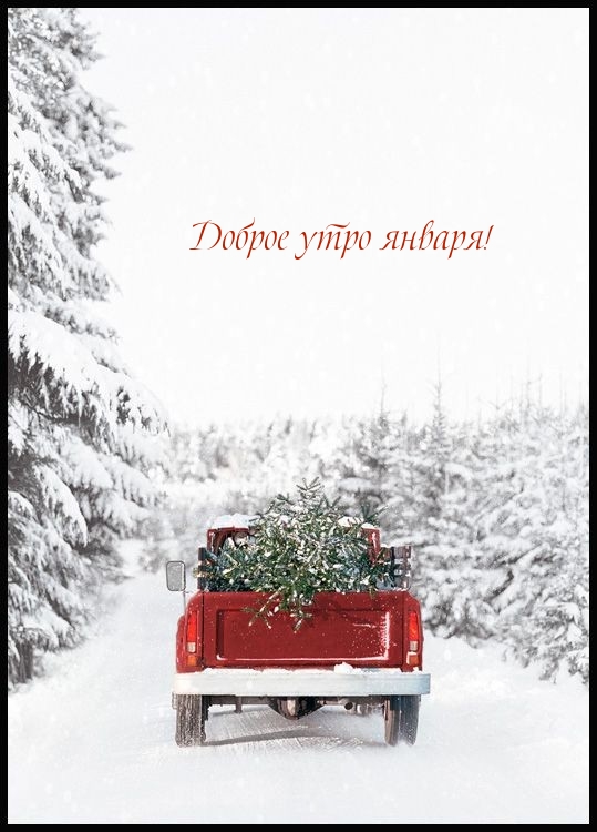 Доброе утро января!