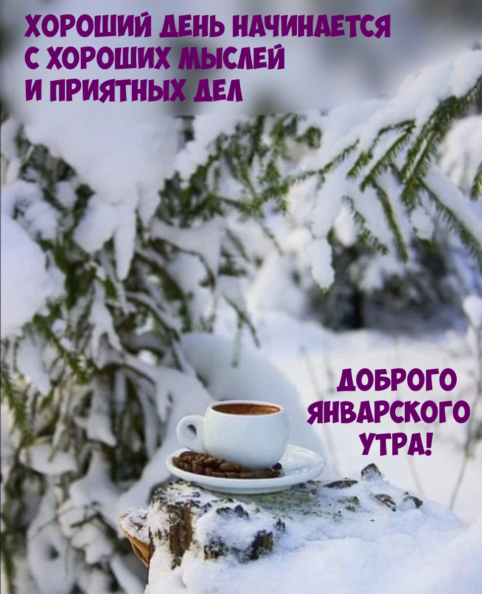 Доброго январского утра! Хороший день начинается с хороших мыслей