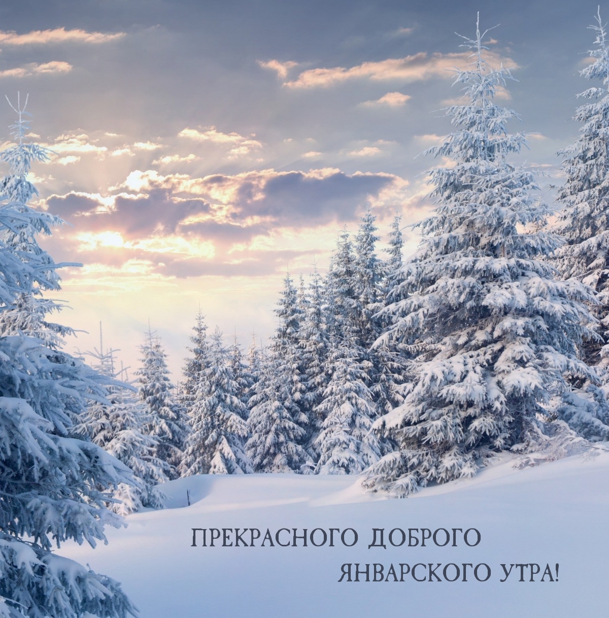 Прекрасного доброго январского утра!