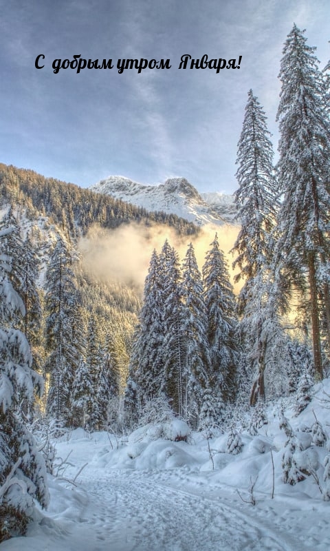 С добрым утром Января!