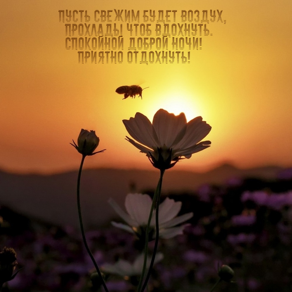 Спокойной доброй ночи! Приятно отдохнуть!