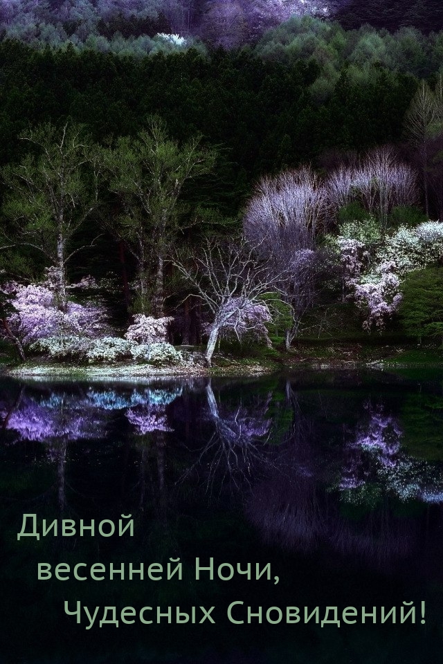 Дивной весенней Ночи, чудесных Сновидений!