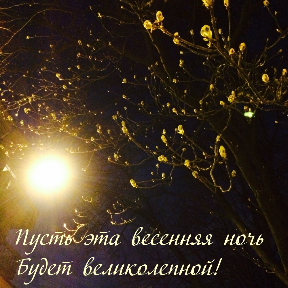 Пусть эта весенняя ночь будет великолепной!