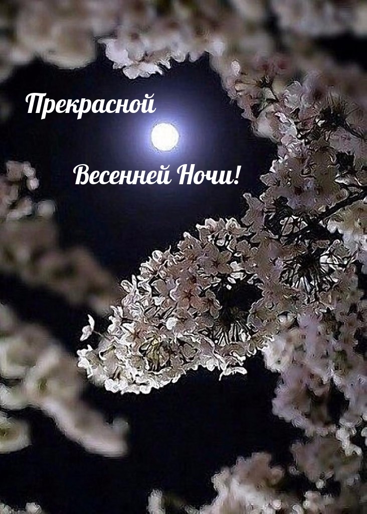 Прекрасной Весенней Ночи!