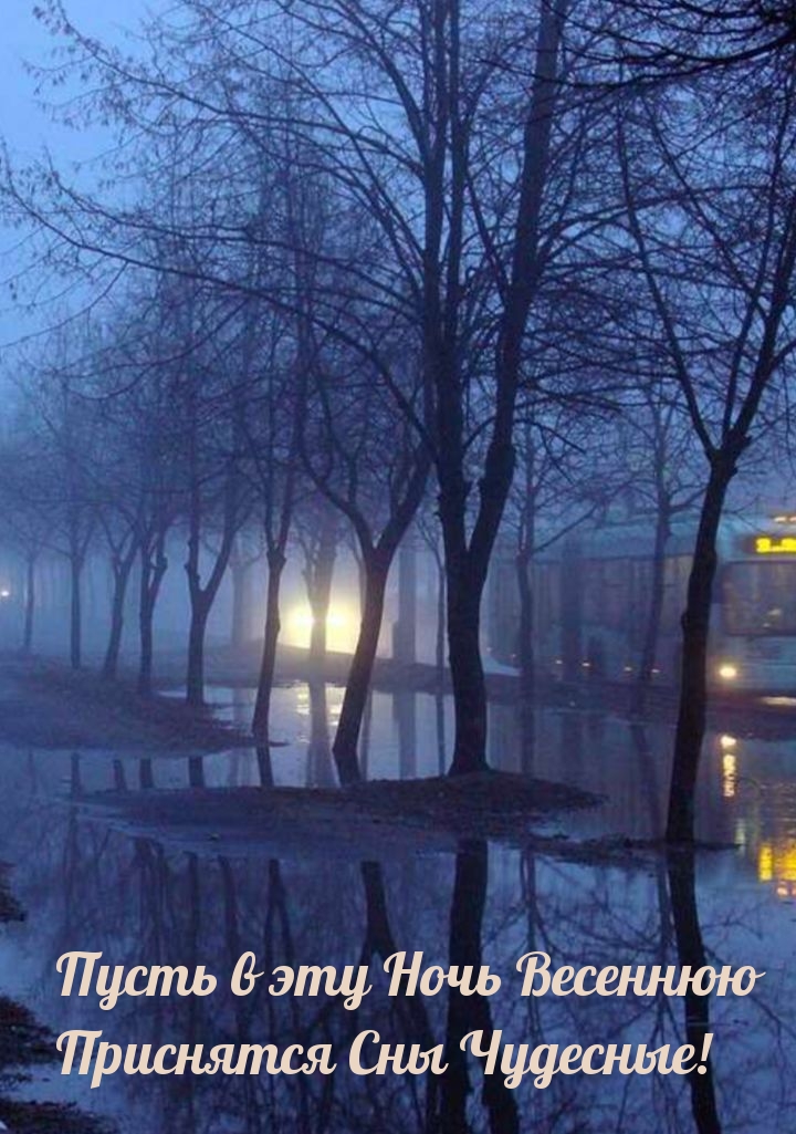 Пусть в эту Ночь Весеннюю приснятся сны чудесные!